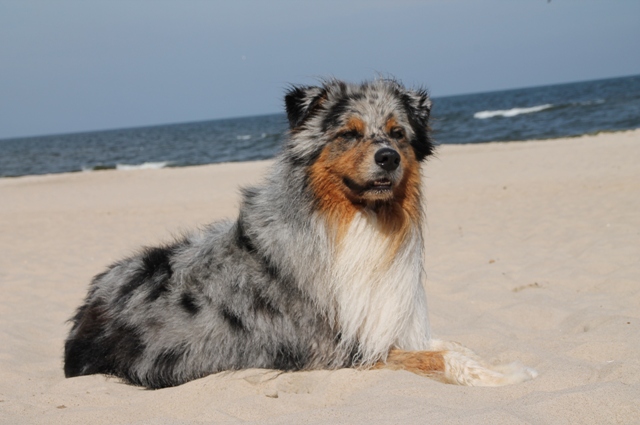 E Boomer Urlaub Usedom 079 Kopie