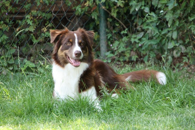 Grace 2482 Kopie
