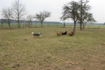 3-gl-Unsere_Fotos-2497