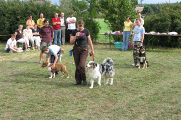 3-gl-Unsere_Fotos_2-8027