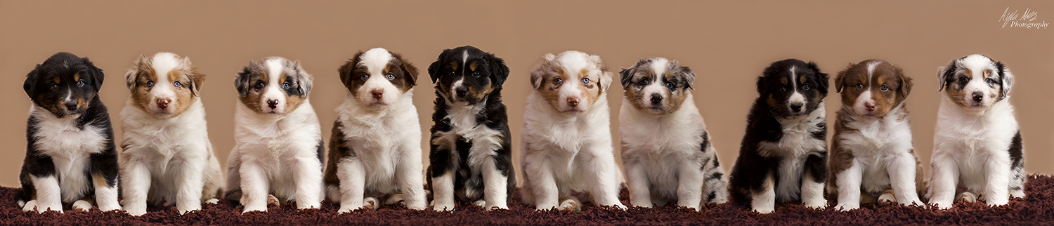 gruppenbild web