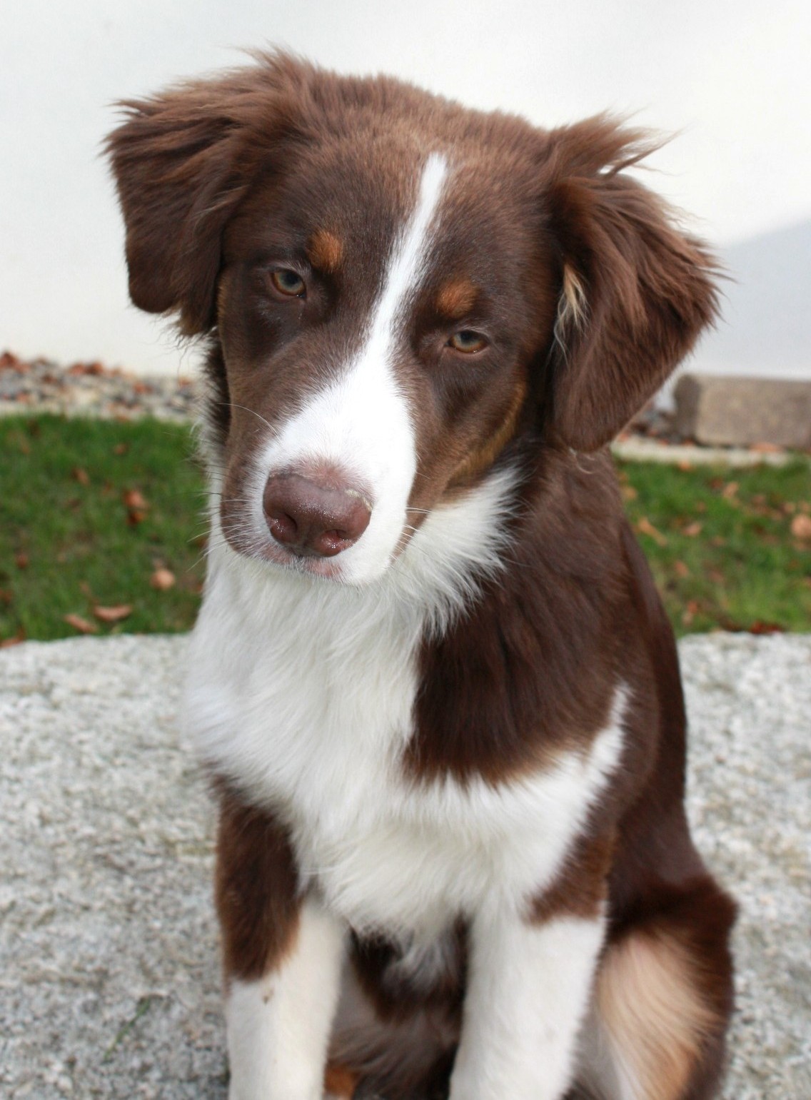 GraceP Kopie