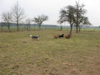 3-gl-Unsere_Fotos-2497