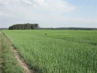3-gl-Unsere_Fotos_2-1356
