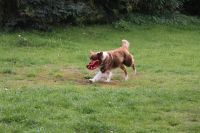 3-gl-Unsere_Fotos_2-2620
