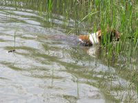 3-gl-Unsere_Fotos_2-3039