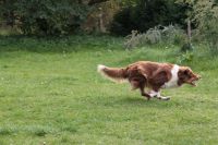 3-gl-Unsere_Fotos_2-3427