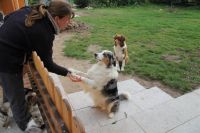 3-gl-Unsere_Fotos_2-4615