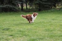 3-gl-Unsere_Fotos_2-4778