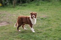 3-gl-Unsere_Fotos_2-5576
