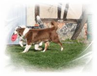 3-gl-Unsere_Fotos_2-7176