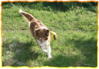 3-gl-Unsere_Fotos_2-7630