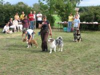 3-gl-Unsere_Fotos_2-8027