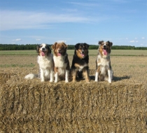 Neuigkeiten 07.07.2011