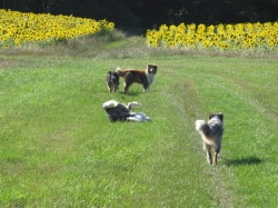 Neuigkeiten 07.07.2011