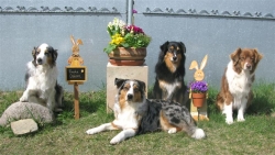 News Ostern 2012